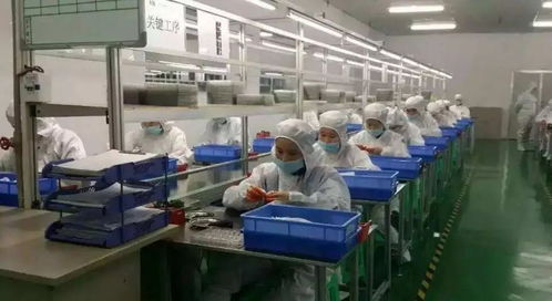 IPO审核拷问 紫建电子千名员工未缴社保迷局与电器辅件的隐性风险